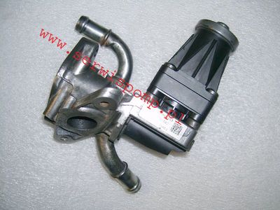 egr-VW