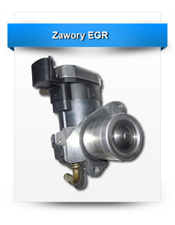 zawory-egr-3